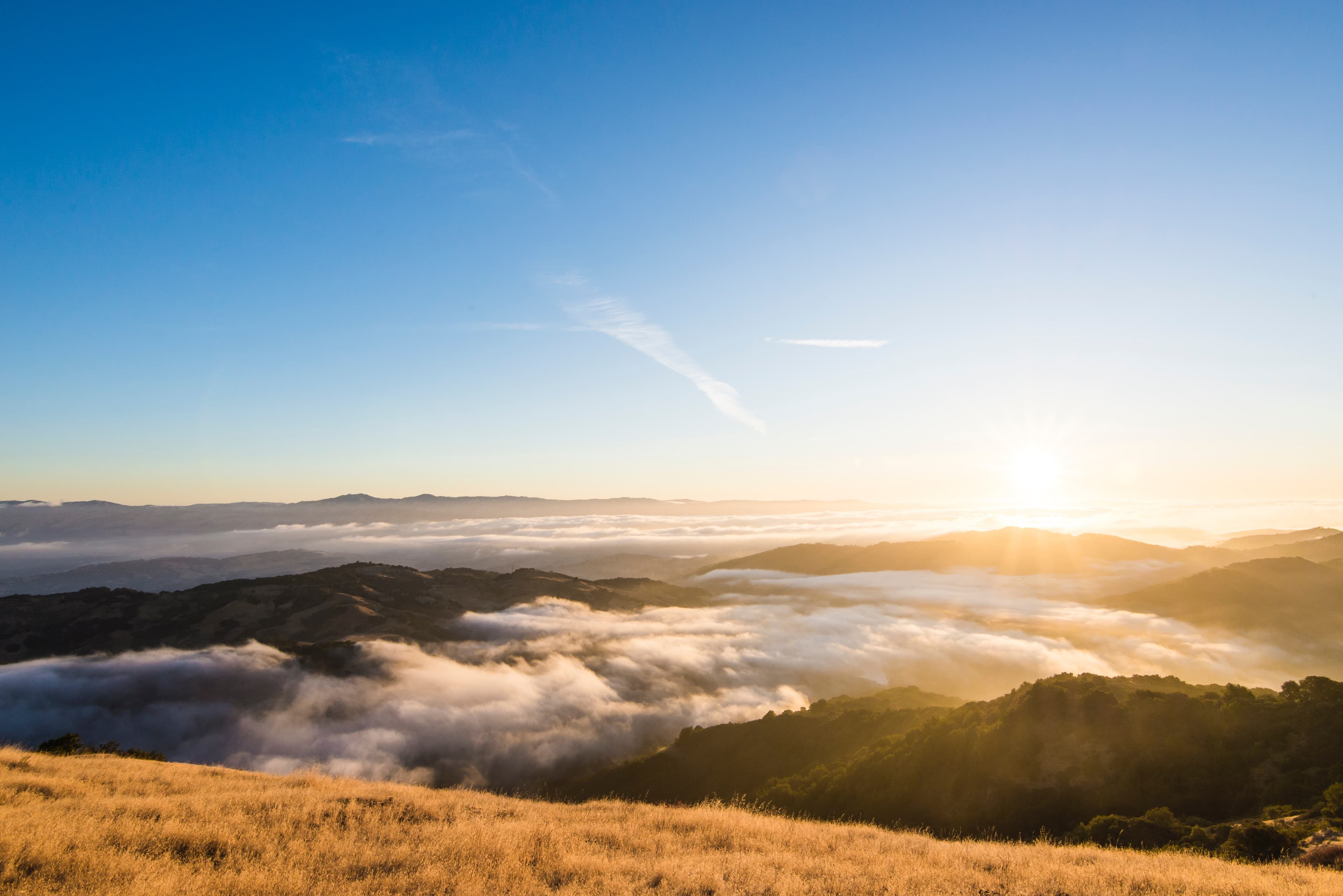 Bay Area Air Quality Management District